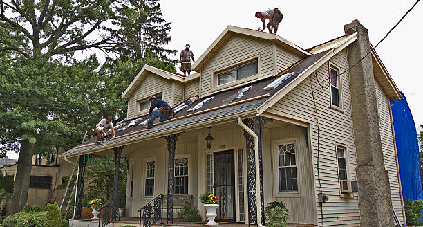 Best New Roof Installation  in Poydras, LA